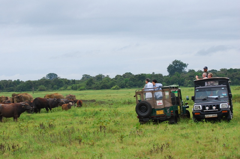 Sri Lanka, National parks